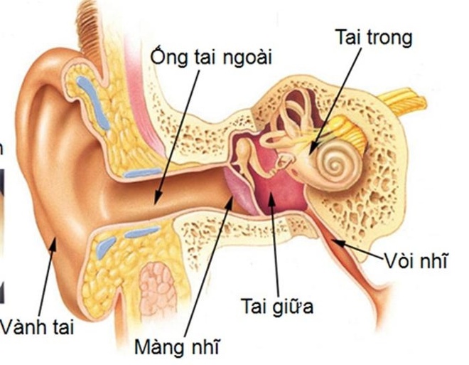 Chỉ 3 giây thôi, bạn sẽ phát rồ vì âm thanh khủng khiếp này! - Ảnh 9.