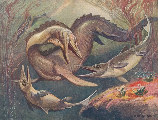 Được ví như bạo chúa biển cả, đây là kẻ sống sót sau đại tuyệt chủng lớn nhất lịch sử - Ảnh 4.