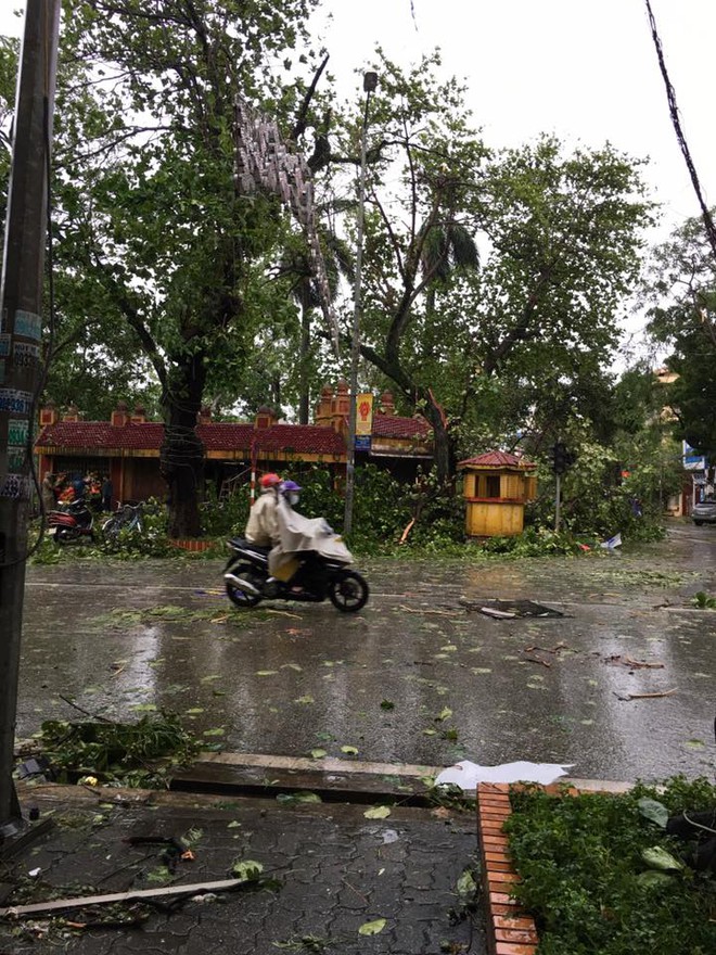 Cảnh tượng tan hoang tại Nam Định sau khi bão số 1 càn quét - Ảnh 1.