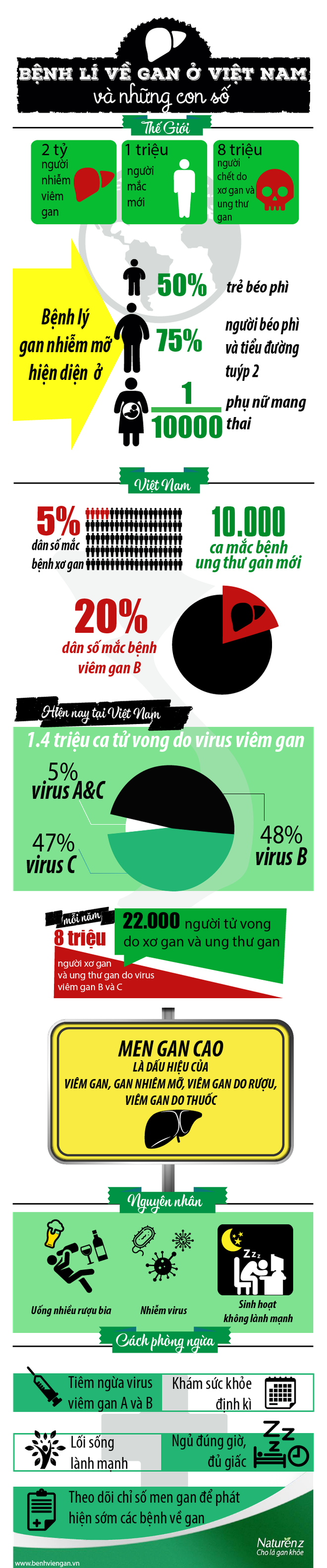 Giật mình với con số thống kê bệnh gan đáng báo động tại Việt Nam - Ảnh 1.