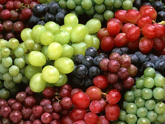 5 trái cây tốt nhất làm tăng hiệu quả chữa trị bệnh ung thư - Ảnh 3.