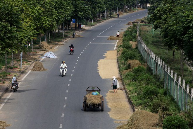 Đại lộ hiện đại nhất Việt Nam thành sân phơi - Ảnh 1.