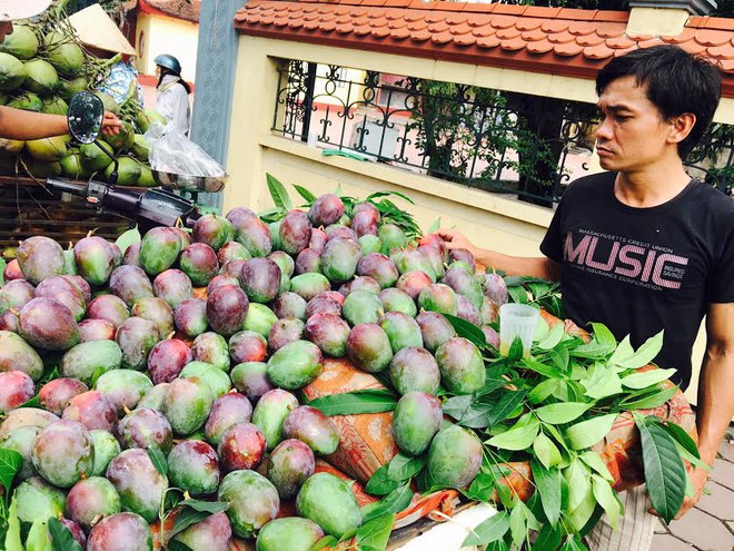 Xoài lạ tím bầm: Ghê răng ăn thử - Ảnh 1.