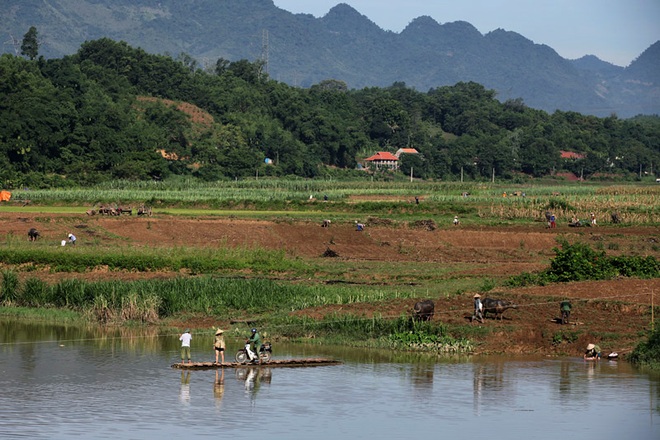 Hồn nhiên lướt trên miệng hà bá - Ảnh 1.