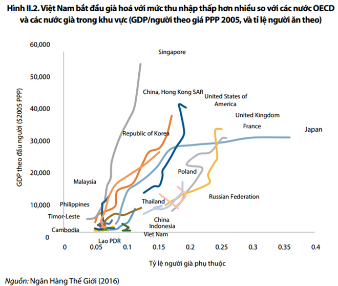 Người Việt Nam chưa giàu đã già? - Ảnh 1.