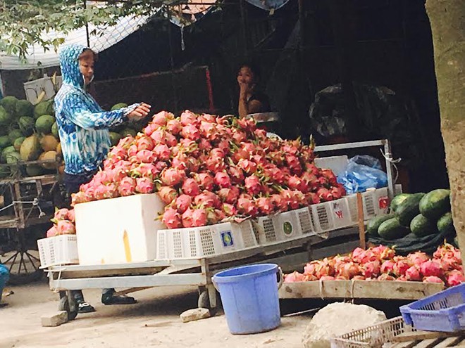 Ra đến Hà Nội, thanh long ruột đỏ đắt gấp 30 lần - Ảnh 1.