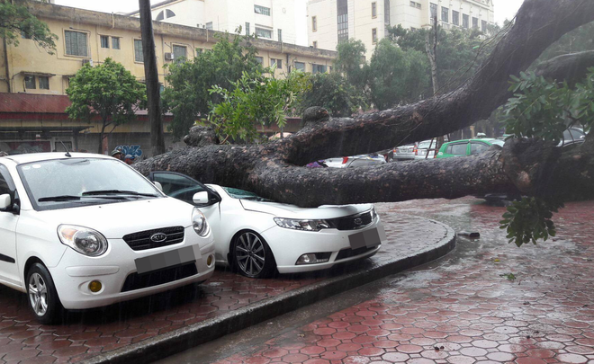 Cây đổ, nhà tốc mái, người và xe khốn khổ vì cơn bão số 3 - Ảnh 3.