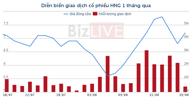 Sau HAG, đến lượt HAGL Agrico báo lỗ 533 tỷ đồng - Ảnh 1.