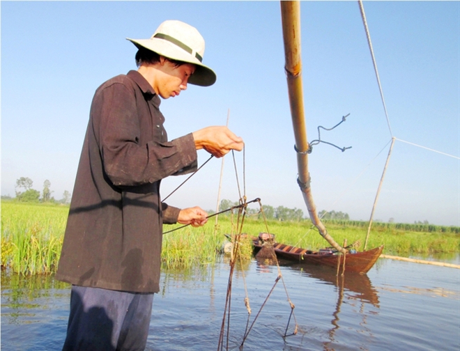 [Ảnh]: Nghề đẩy côn bắt cá lóc ở miền Tây - Ảnh 1.