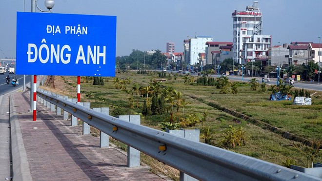 Vườn hoa giữa Hà Nội thành nơi chăn bò, thả gà - Ảnh 1.