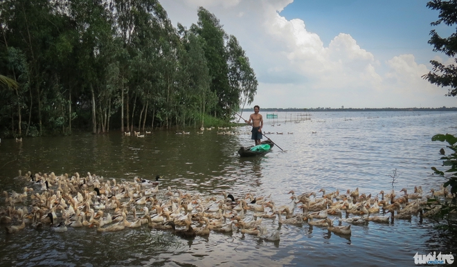 Lũ về sau hạn mặn, bà con miền Tây hân hoan - Ảnh 10.