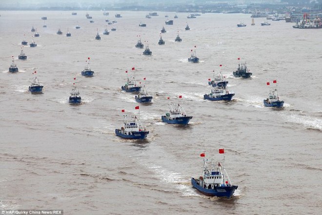 Đội tàu cá Trung Quốc đang vét sạch biển Tây Phi - Ảnh 1.