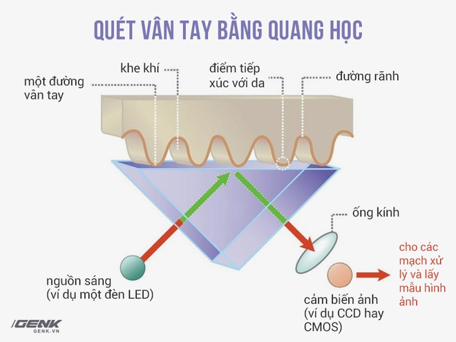 Giải ngố về quét vân tay trên smartphone - Công nghệ đã biến password thành đồ cổ - Ảnh 1.