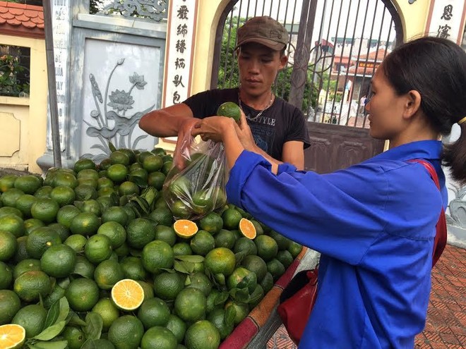 100 tấn cam Tàu/ngày: Dân Hà thành mua biếu tặng nhau - Ảnh 2.