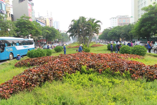 Hà Nội cắt cỏ trở lại sau 3 tháng tạm dừng - Ảnh 3.