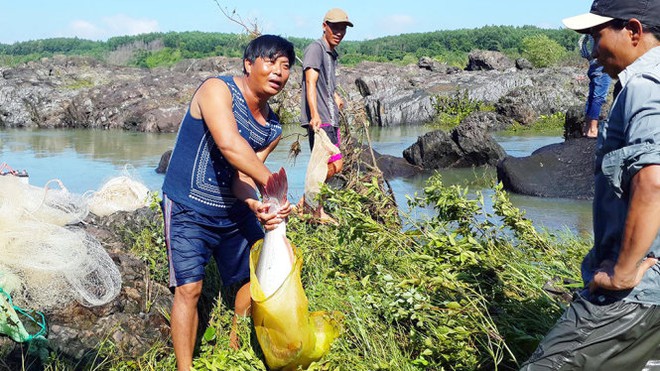 Trị An ngưng xả lũ, dân nô nức săn cá khủng  - Ảnh 3.