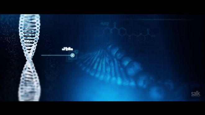 Một ngày sau đột phá CRISPR-Cas9 của Trung Quốc, Mỹ tiết lộ công nghệ chỉnh sửa gen hiệu quả gấp 10 lần - Ảnh 2.