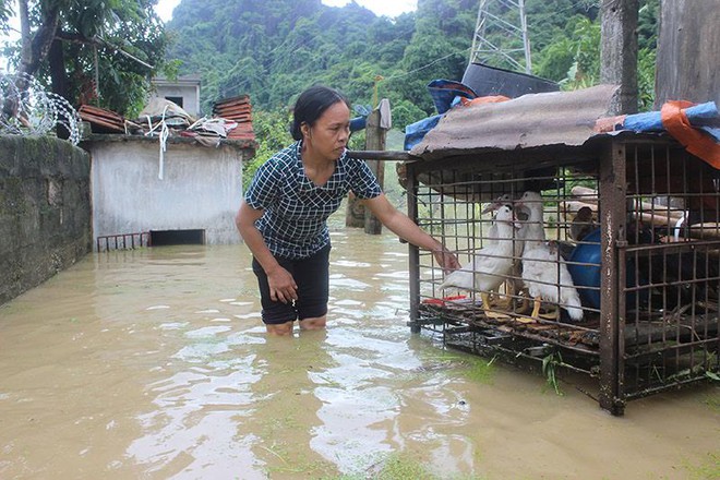 Quảng Ninh: Mưa lớn dồn dập, nước ngập ngang đùi - Ảnh 2.