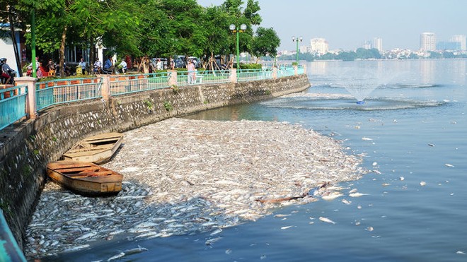 Bơm ô xy, hóa chất ngăn cá chết tại Hồ Tây - Ảnh 3.