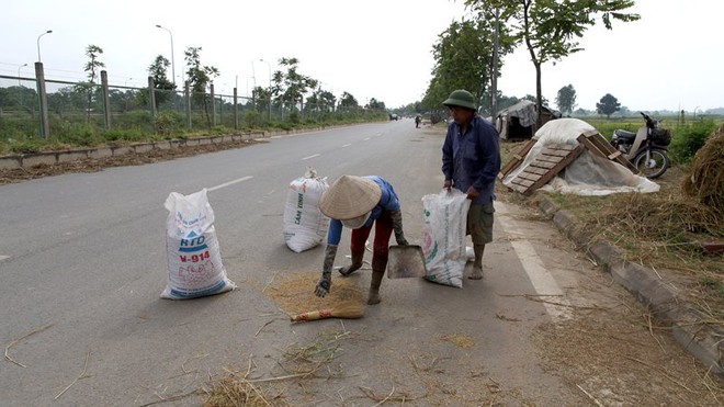 Đại lộ hiện đại nhất Việt Nam thành sân phơi - Ảnh 5.