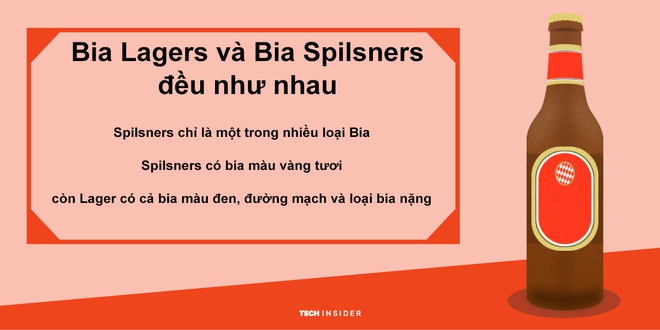 Uống bia hàng ngày nhưng chắc rằng bạn không biết những điều này! - Ảnh 5.