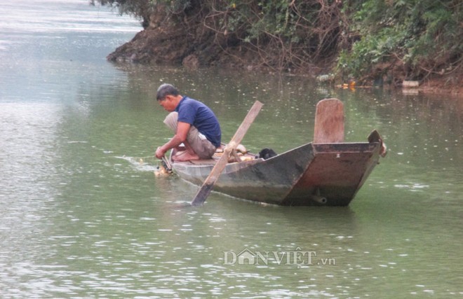 Sát thủ của những con cá tiền triệu - Ảnh 5.