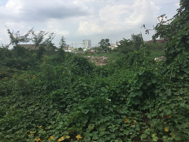 Cận cảnh loạt đất vàng bỏ hoang của Công ty Phương Trang tại TP.HCM - Ảnh 9.