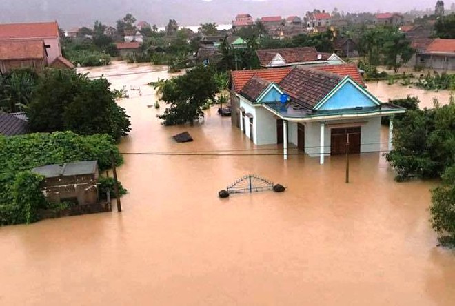 Đôi mắt chú bò lay động lòng người trong trận lụt kinh hoàng ở miền Trung - Ảnh 10.