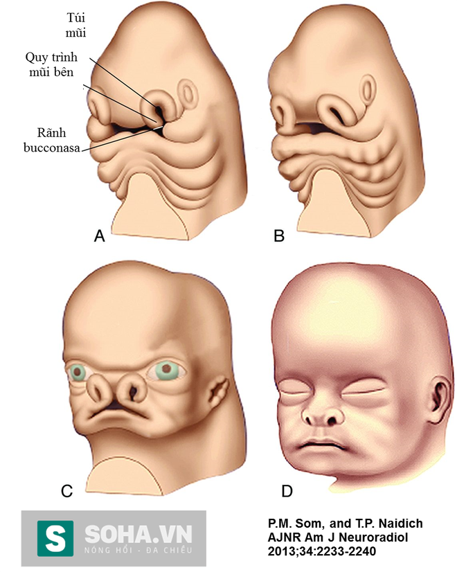 Khuôn mặt em bé luôn là một trong những đối tượng quyến rũ nhất của mọi người. Bức ảnh này sẽ giúp bạn thấy được vẻ đẹp đầy ma mị của em bé, khiến bạn cảm thấy khó lòng rời mắt.