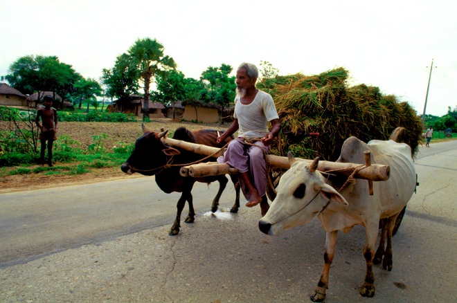 Thành phố ở Bangladesh tuyên chiến với ô nhiễm không khí - Ảnh 6.