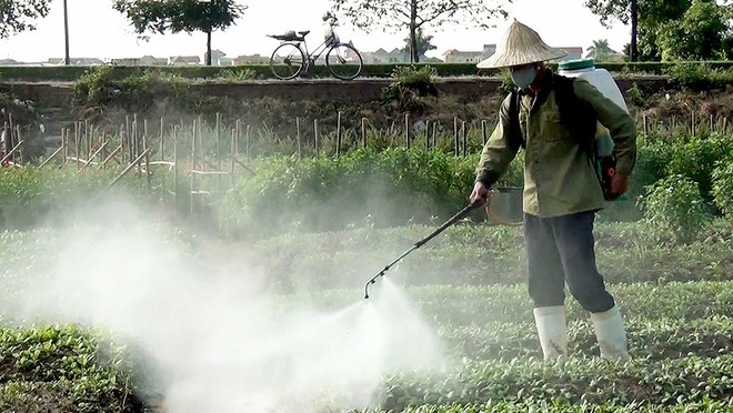 Thực phẩm sạch: Thị trường man rợ ở Việt Nam và câu chuyện thất bại của TS Đặng Kim Sơn - Ảnh 2.