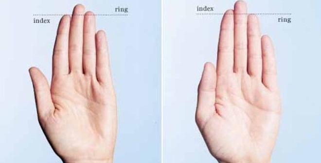 Chiều dài của ngón tay sẽ tiết lộ những sự thật bất ngờ gì về bạn?