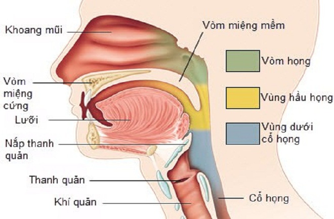 Sốc: Bé gái bị ung thư vòm họng vì hít khói thuốc thụ động - Ảnh 4.