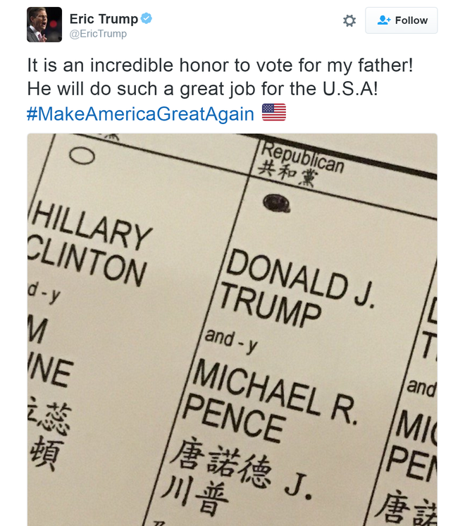 Hí hửng khoe phiếu bầu cho cha, con trai Trump có thể phải... ngồi tù - Ảnh 2.
