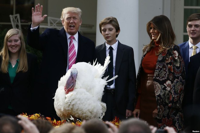24h qua ảnh: Tổng thống Trump lần đầu tiên làm lễ xá tội cho gà tây - Ảnh 4.