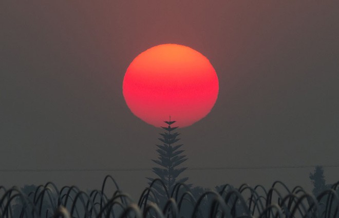 7 ngày qua ảnh: Mặt trời đỏ rực trong cháy rừng ở Mỹ - Ảnh 4.