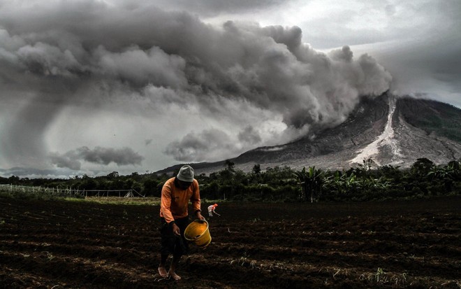 24h qua ảnh: Nông dân canh tác trên cánh đồng gần núi lửa ở Indonesia - Ảnh 7.