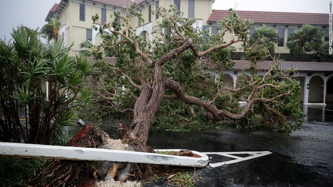 Siêu bão quái vật Irma tấn công dữ dội, Florida chới với trong biển nước - Ảnh 9.