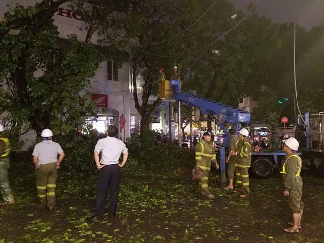 Hà Nội: Tố lốc quật đổ cây, sập trần ốp ở chung cư - Ảnh 1.