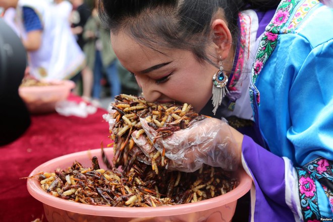 24h qua ảnh: Cô gái tham gia cuộc thi ăn côn trùng ở Trung Quốc - Ảnh 3.