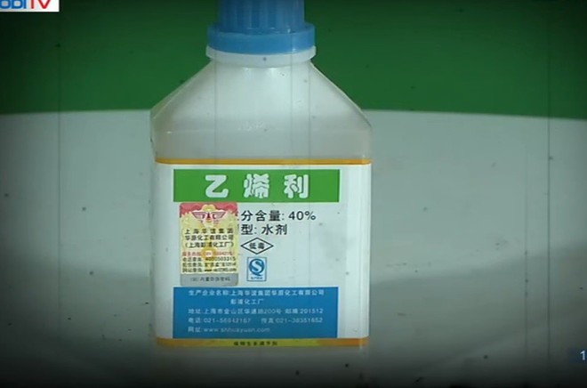 Hé lộ bí mật công nghệ khiến hoa quả nhập từ Trung Quốc về Việt Nam tươi mãi không héo - Ảnh 2.