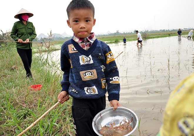 Về đồng ăn rươi - Ảnh 3.