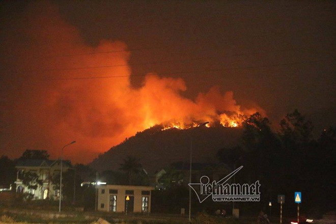 Có người ngạt khói trong đám cháy đỏ rực trời ở Sóc Sơn, 500 người dập lửa - Ảnh 2.
