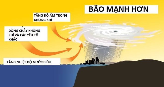 Tại sao bão số 10 đổ bộ Việt Nam lại thần tốc và hung hãn đến vậy? - Ảnh 8.