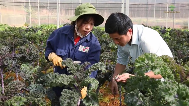 Giới trẻ tìm về với nông nghiệp sạch - Ảnh 2.