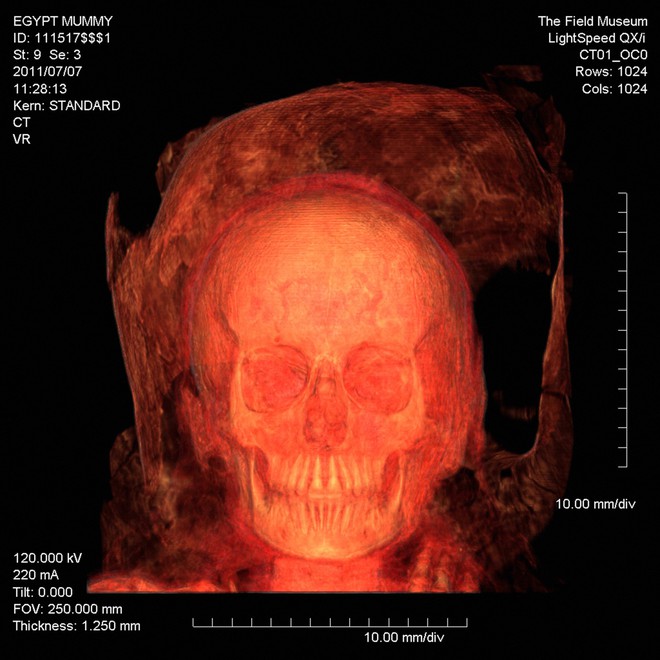 Sử dụng máy quét CT, nhà khoa học phát hiện bí mật xác ướp cổ đại - Ảnh 1.