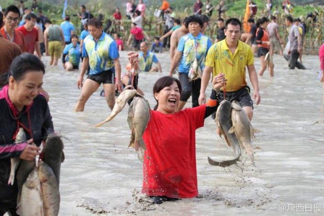 600 người quần thảo dưới đầm lầy, săn bắt, giành giật hơn 3000 con cá  - Ảnh 2.