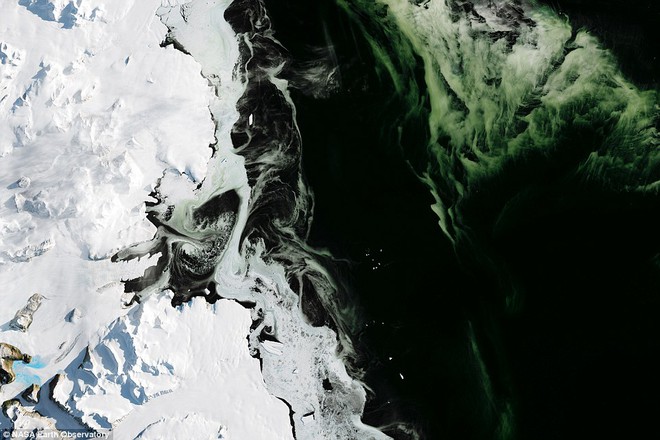 NASA phát hiện băng Nam Cực đổi màu một cách bí ẩn: Giới khoa học nói gì? - Ảnh 1.