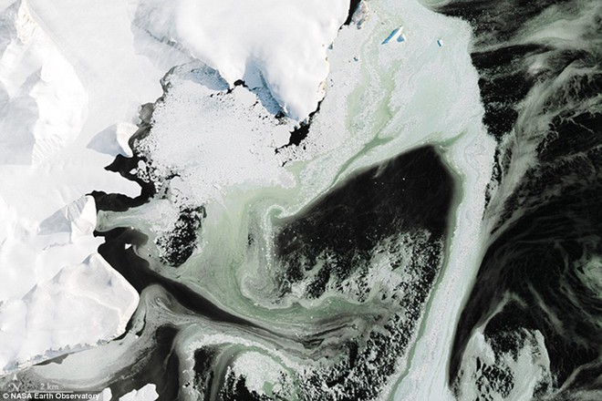 NASA phát hiện băng Nam Cực đổi màu một cách bí ẩn: Giới khoa học nói gì? - Ảnh 2.