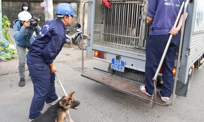 Dẫn chó cưng đi chợ không rọ mõm, người dân bất ngờ khi bị Đội săn bắt chó TP HCM hốt về - Ảnh 9.
